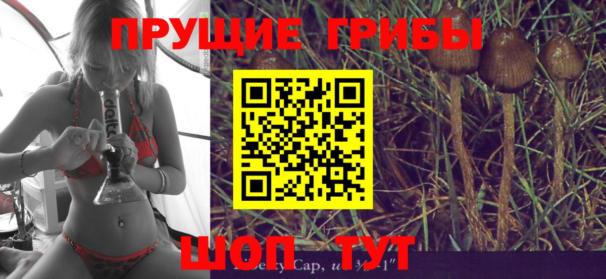 Соль-Илецк  Галлюциногенные грибы ЛСД  Вход с VPN 