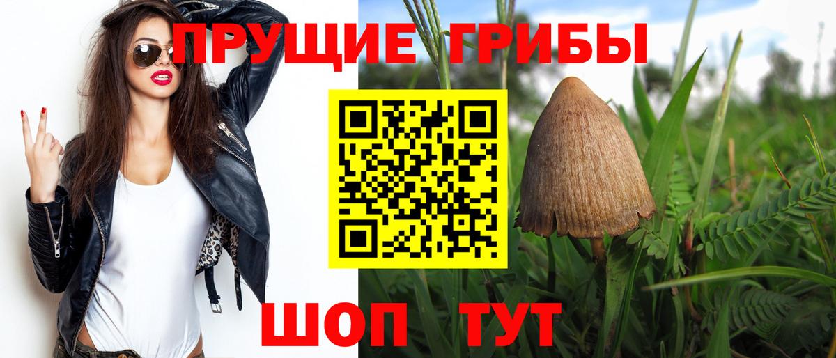 Галлюциногенные грибы Psilocybe Соль-Илецк